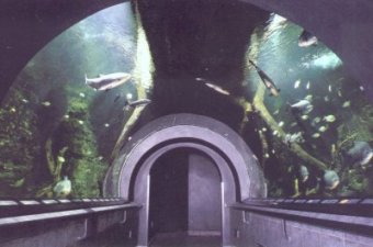 Aquarium