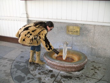 Karlovy Vary